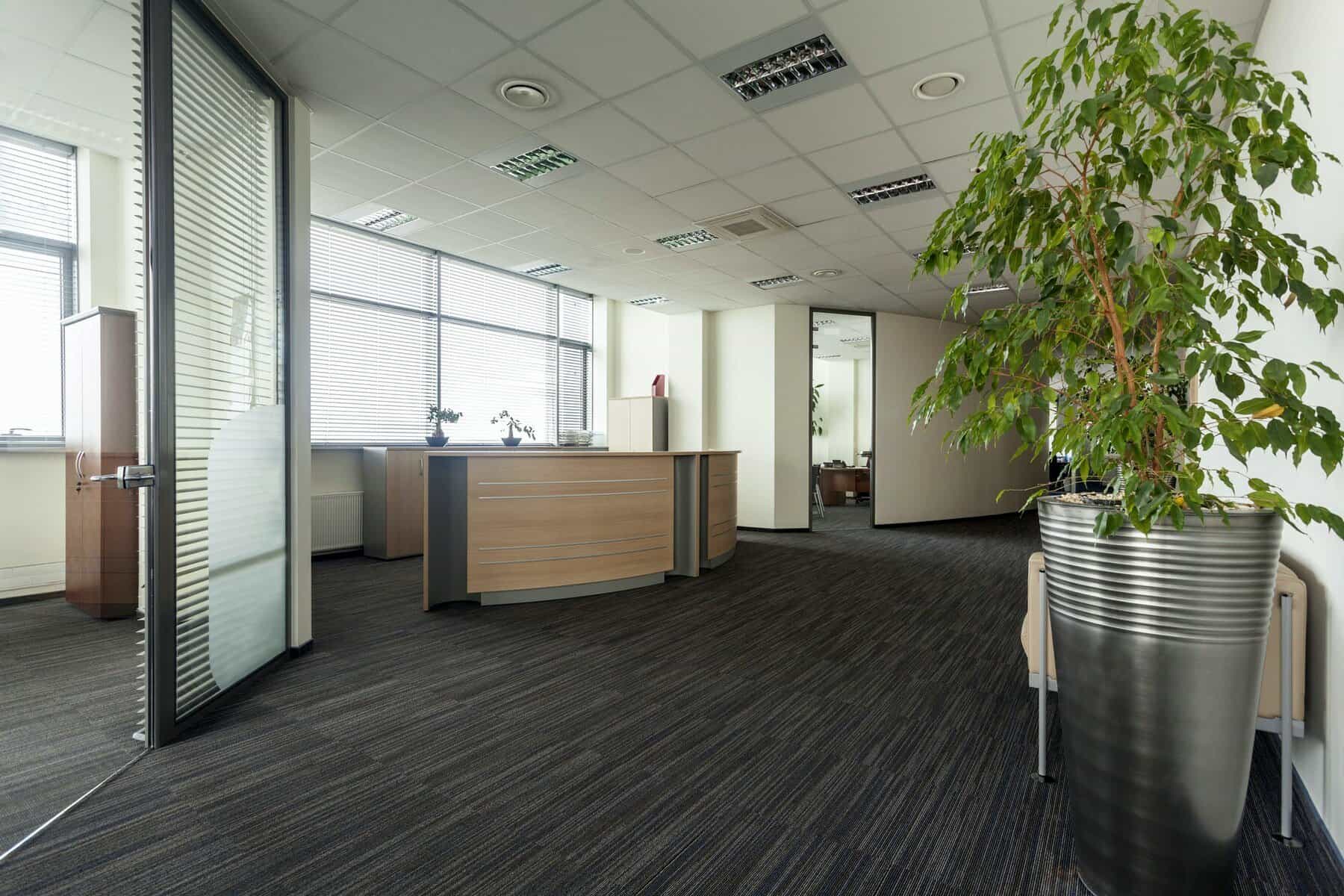 Commercial Interior Office Space White painted commercial office interior with charcoal striped flooring, wood reception desk, and glass partition walls