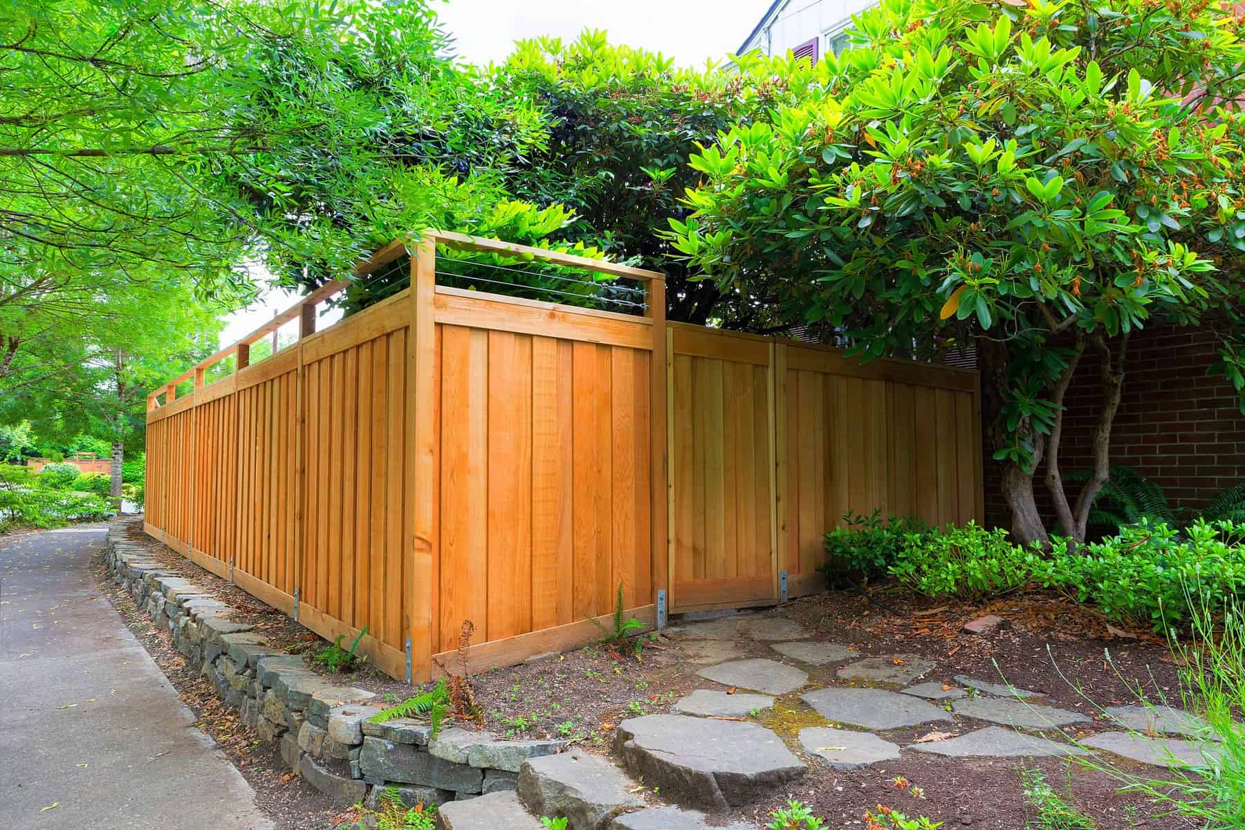 Cedar Fence Painting Warm cedar-stained wooden fence with vertical board siding and green metal top rail in residential garden setting.