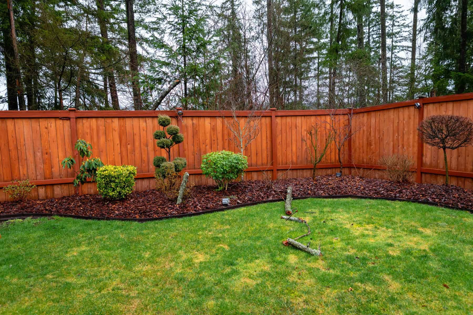 Orange Stained Wood Fence Painting Bright orange-stained vertical board fence with metal top rail in residential backyard garden setting in Nashville