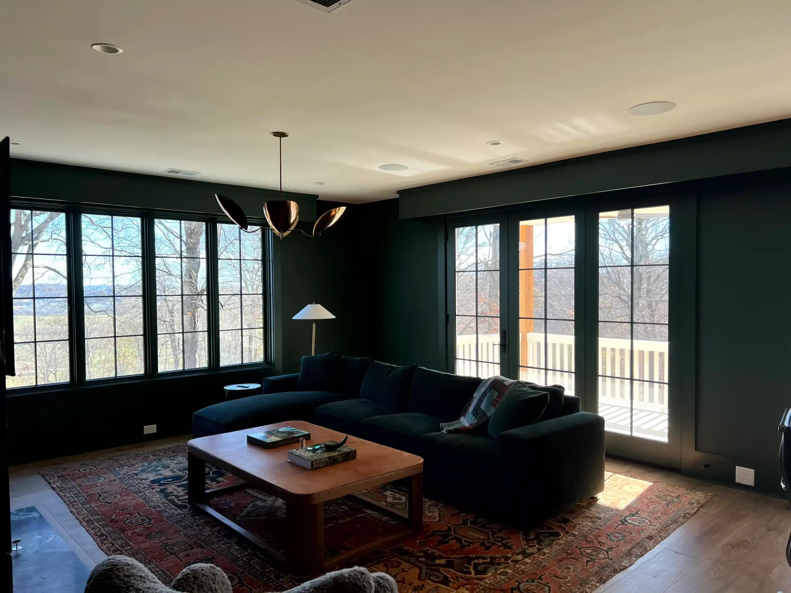 Dark Green Living Room Walls Dark forest green painted walls with cream ceiling, black-framed glass doors, and navy sectional sofa in residential living
